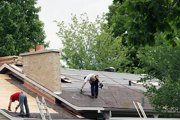 Best Roof Gutter Cleaning  in Wynantskill, NY